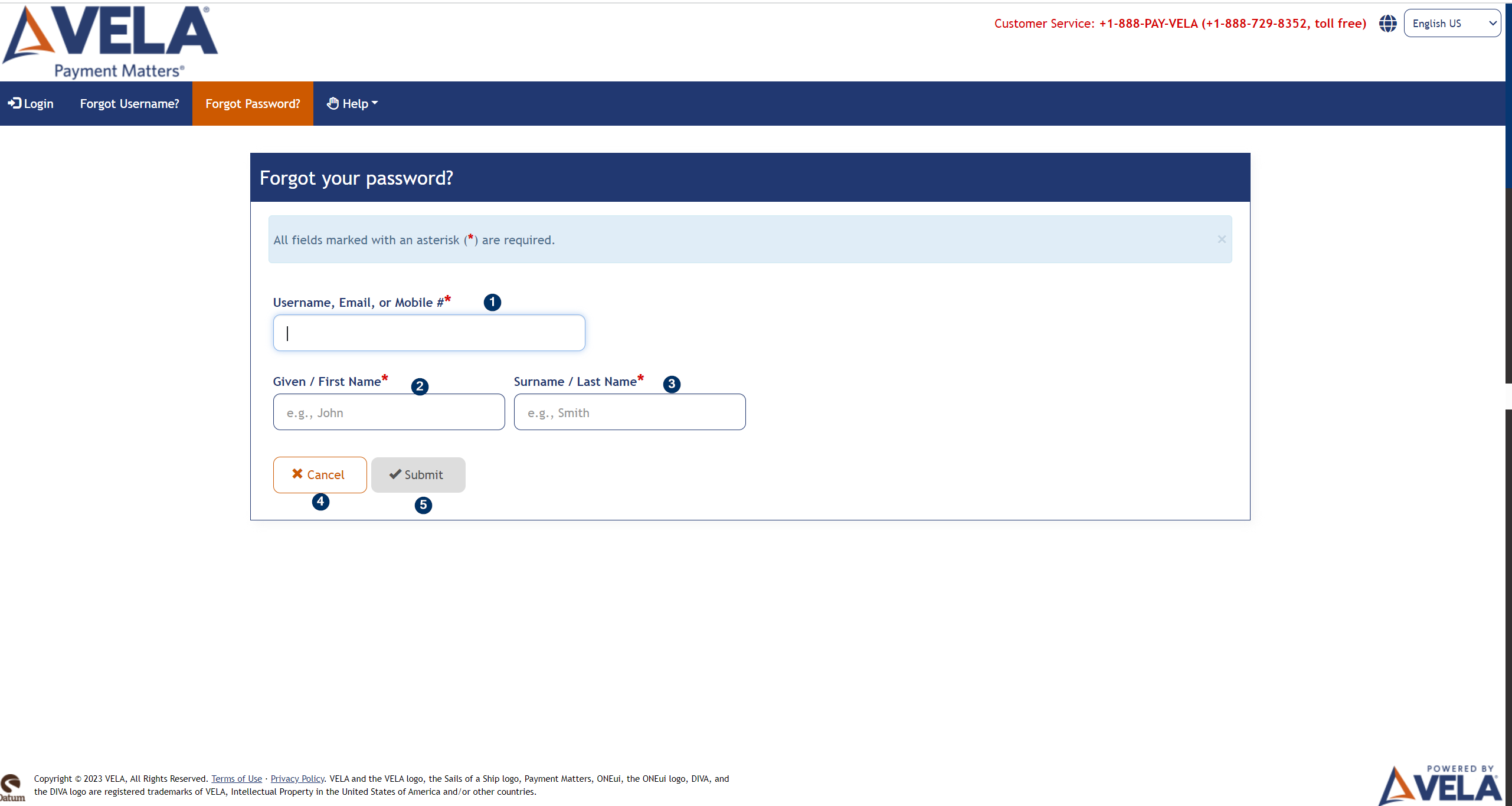 Forgot Password screen fields